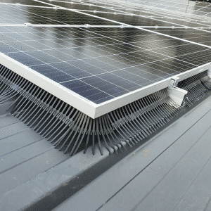 Vogelwering zonnepanelen