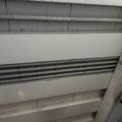 IMG_3143
